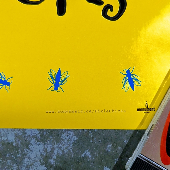 Vintage 1999 Dixie Chicks Fly Music Store Promo Double Sided Poster - Picture 3 of 7